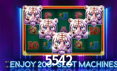 5542 bet